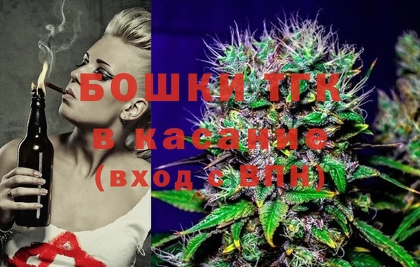 шишки Алексеевка