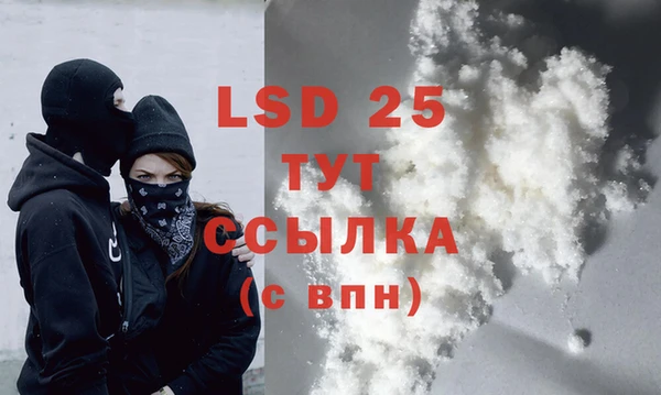 спайс Алзамай